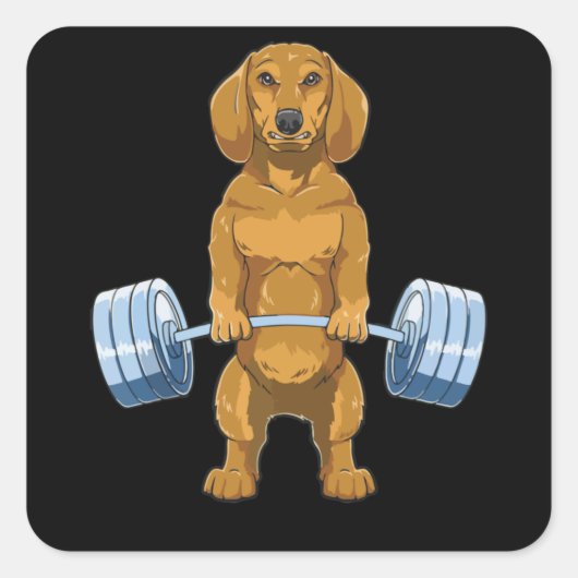 Dachshund Weightlifting Deadlift Fitness Gym Vierkante Sticker (Voorkant)