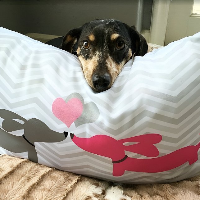 Dachshund Weiner Hond Liefde & Harten Roze & Grijs Kussen (Dachshunds in love pillow)