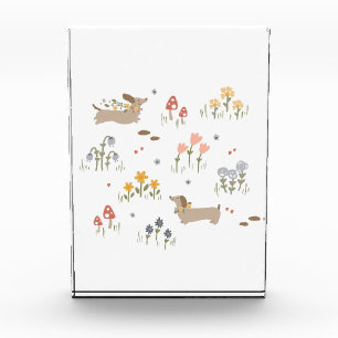 Dachshund Weiner Hondenliefhebbers Wildflower Muur Fotoblokken