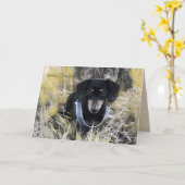 Dachshund-Wenskaart Kaart (Gele Bloem)