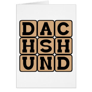 Dachshund, Wiener Dog