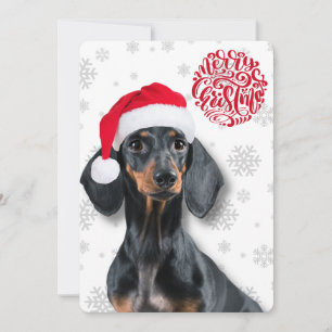 Dachshund Wiener Dog Huisdier Sneeuwvlokje Kerstmi Feestdagenkaart