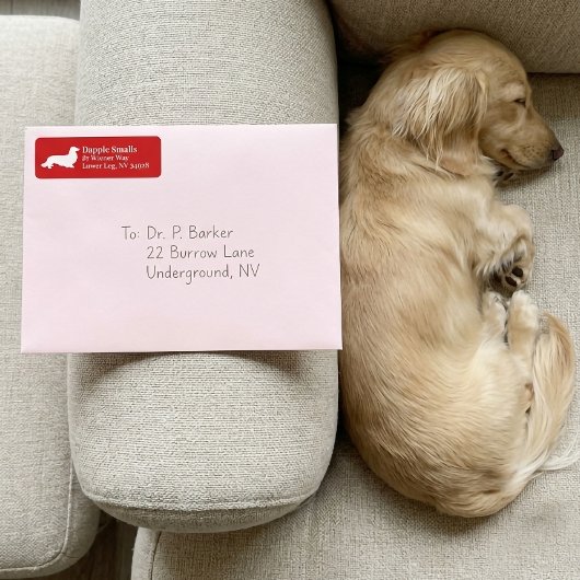Dachshund Wiener Dog | Rode Retouradres Sticker