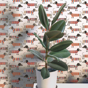 Dachshund Wiener Worst Hond Behang