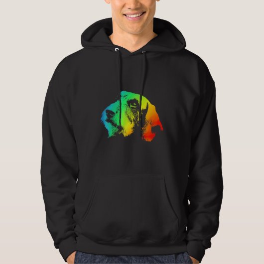 Dachshund Wire Hair Colorful Rainbow Retro Hoodie (Voorkant)