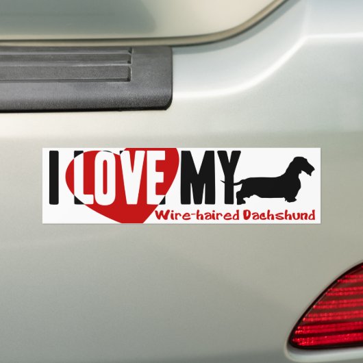 Dachshund [Wire-haire] Bumpersticker (Op auto)