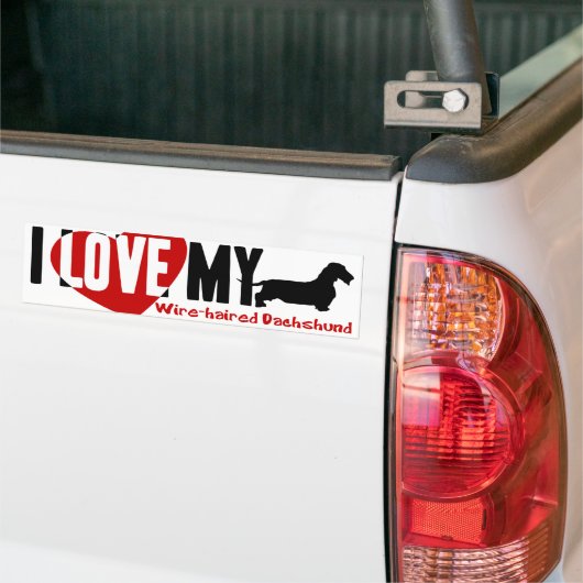 Dachshund [Wire-haire] Bumpersticker (Op Truck)