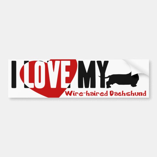 Dachshund [Wire-haire] Bumpersticker (Voorkant)