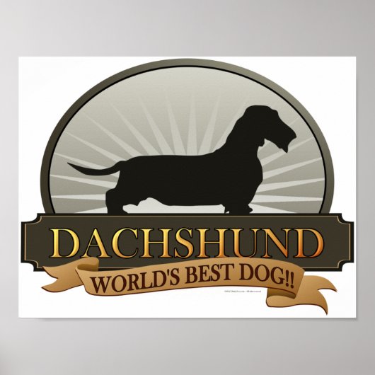 Dachshund [Wire-haire] Poster (Voorkant)