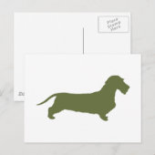 Dachshund Wirehaered Briefkaart (Voorkant / Achterkant)