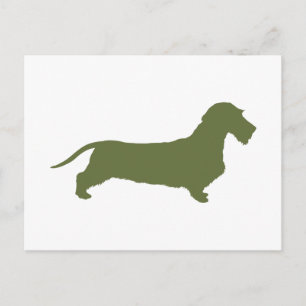 Dachshund Wirehaered Briefkaart