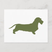 Dachshund Wirehaered Briefkaart (Voorkant)