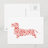 Dachshund Wirehaered Briefkaart (Voorkant / Achterkant)