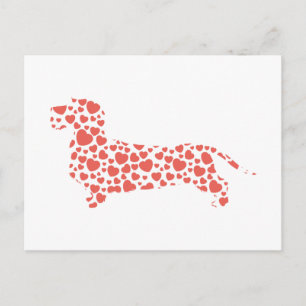 Dachshund Wirehaered Briefkaart