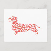 Dachshund Wirehaered Briefkaart (Voorkant)