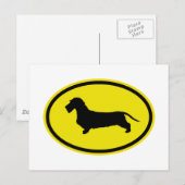 Dachshund Wirehaered Briefkaart (Voorkant / Achterkant)