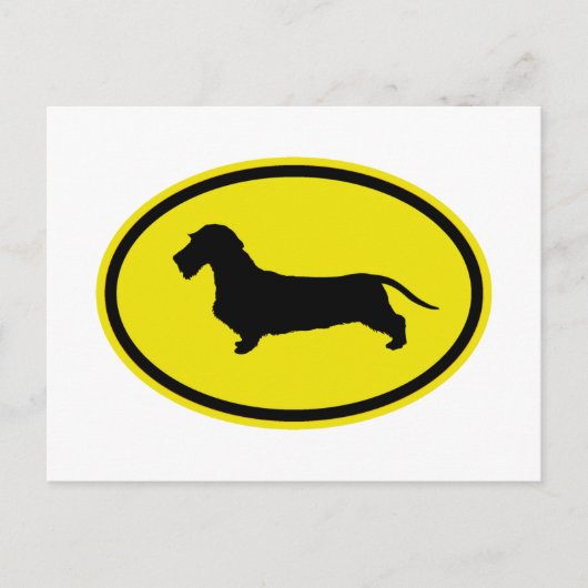 Dachshund Wirehaered Briefkaart (Voorkant)
