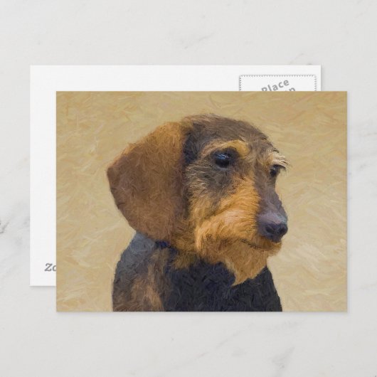 Dachshund (Wirehaire) schilderende oorspronkelijke Briefkaart (Voorkant / Achterkant)