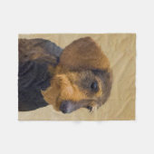 Dachshund (Wirehaire) schilderende oorspronkelijke Fleece Deken (Voorkant (Horizontaal))
