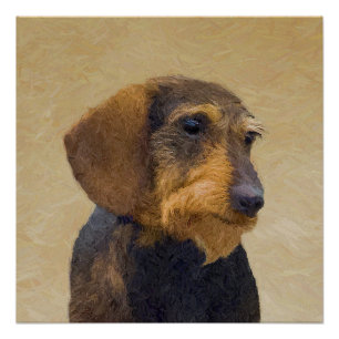 Dachshund (Wirehaire) schilderende oorspronkelijke Poster