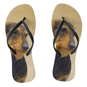 Dachshund (Wirehaire) schilderende oorspronkelijke Teenslippers