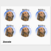 Dachshund Wolken Ronde Sticker (Vel)