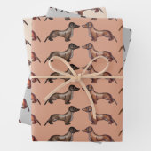 Dachshund, worstenhond inpakpapier vel (In situ)