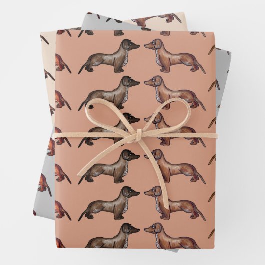 Dachshund, worstenhond inpakpapier vel (In situ)