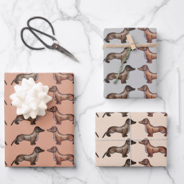 Dachshund, worstenhond inpakpapier vel