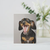 Dachshund Yawning Dachshund Birthday Poster Briefkaart (Staand voorkant)