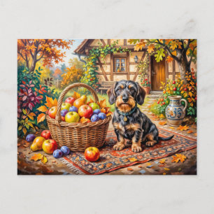 Dachshund zit naast fruitmand herfstboerderij briefkaart