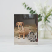 Dachshund zit op het voetpad met kat Birthday Briefkaart (Staand voorkant)