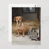Dachshund zit op het voetpad met kat Birthday Briefkaart (Voorkant / Achterkant)