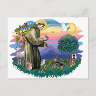 Dachshund (zwart en bruin) briefkaart