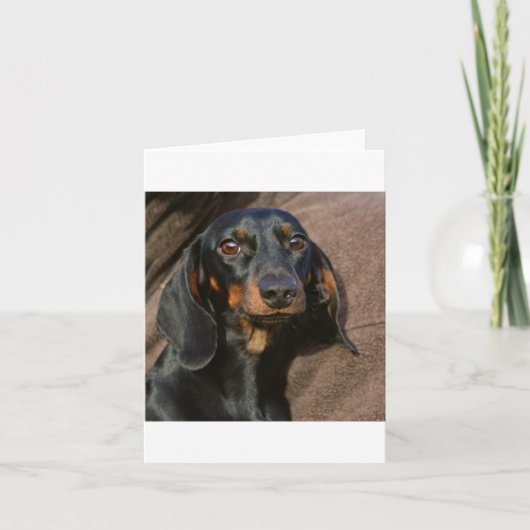 dachshund zwart en rood kaart (Voorkant)