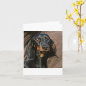 dachshund zwart en rood kaart (Gele Bloem)