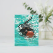Dachshund zwemmen! briefkaart (Staand voorkant)