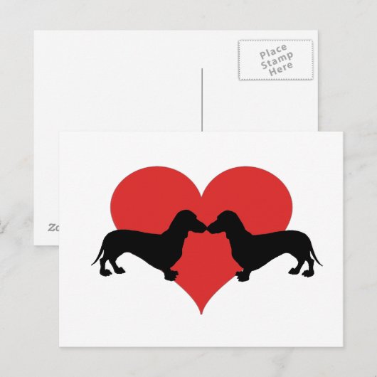 Dachshundlove Briefkaart (Voorkant / Achterkant)