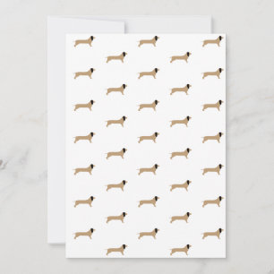 Dachshundpapier