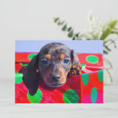Dachshundpuppy in cadeaudoos (Staand voorkant)