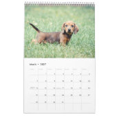 Dachshunds 2014 kalender (Mar 2027)