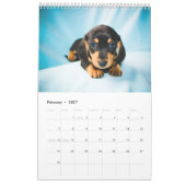 Dachshunds 2014 kalender (Feb 2027)