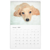 Dachshunds 2014 kalender (Jan 2027)