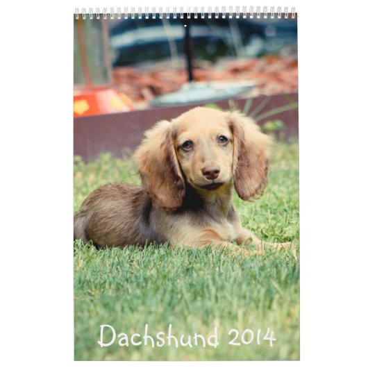 Dachshunds 2014 kalender (Hoes)
