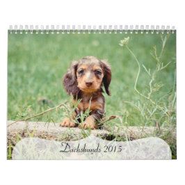Dachshunds 2015 kalender