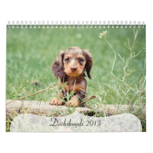 Dachshunds 2015 kalender