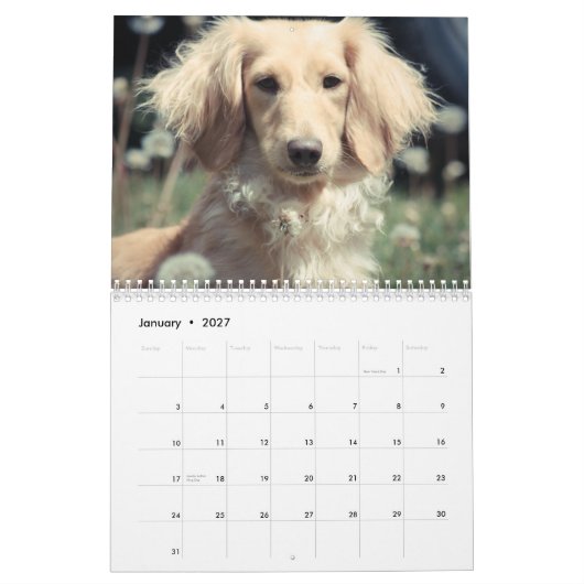 Dachshunds 2015 kalender (Jan 2027)