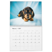 Dachshunds 2015 kalender (Feb 2027)