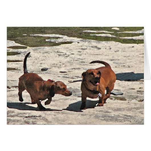 Dachshunds Blank Kaart (Voorkant Horizontaal)