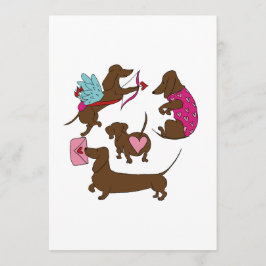 DACHSHUNDS CUPID  ADVIESKAART
